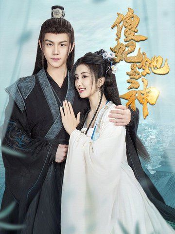 《傻妃她是神》海报