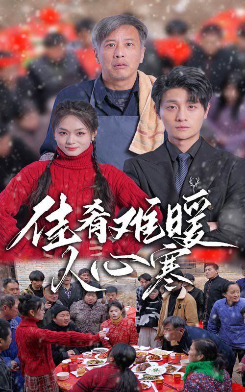 《佳肴难暖人心寒》海报