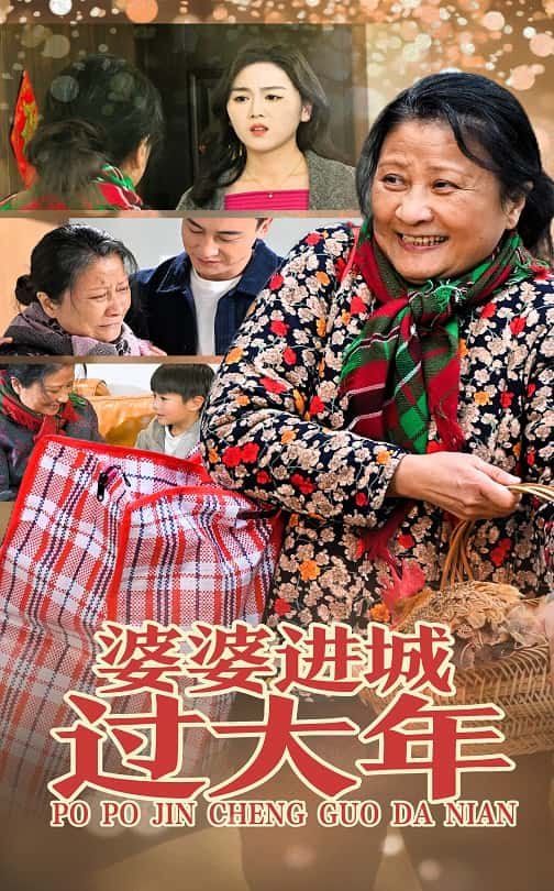 《婆婆进城过大年》海报