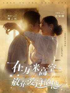 《在万米高空放弃爱过的他》海报
