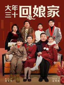 《大年三十回娘家》海报