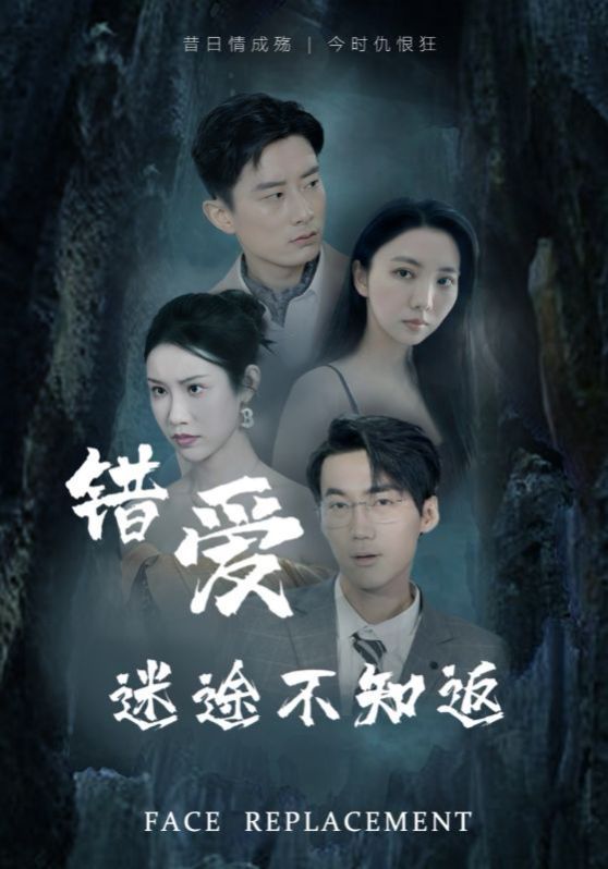 《错爱迷途不知返》海报