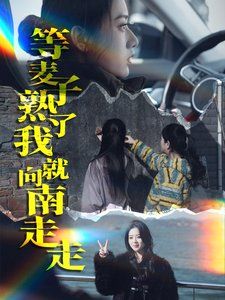 《等麦子熟了我就向南走走》海报