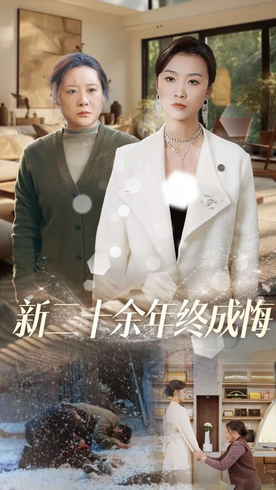 《新二十余年终成悔》海报