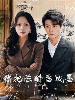 《错把陈醋当成墨（把爱留在昨天）》海报