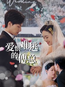 《爱恨难逃的傅总》海报