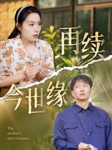 《再续今世缘》海报