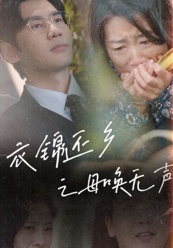 《衣锦还乡之母唤无声》海报
