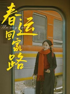 《春运回家路》海报
