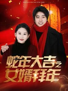 《蛇年大吉之女婿拜年》海报