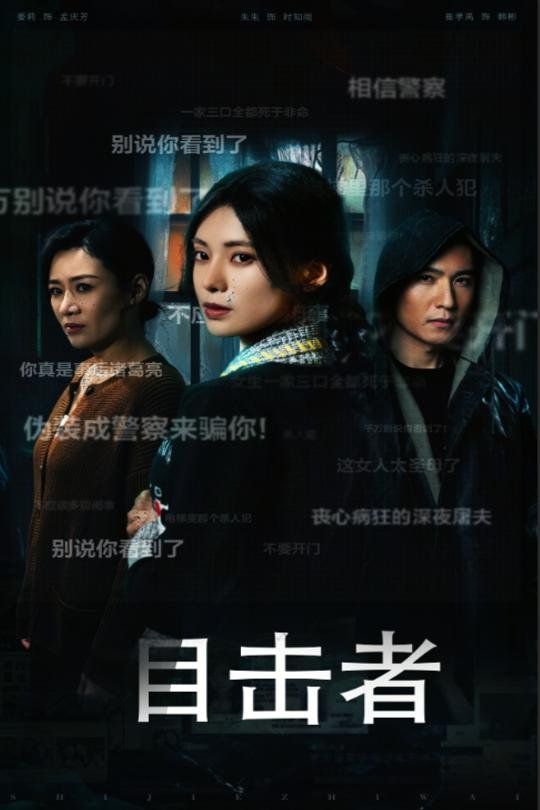 《目击者（深夜伪装）》海报