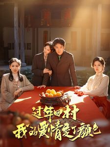 《过年回村我的爱情变了颜色》海报