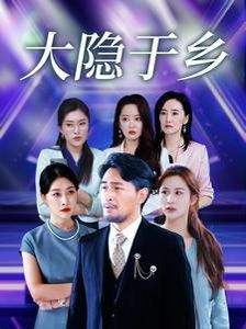 《大隐于乡》海报