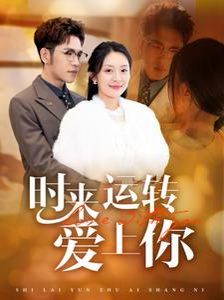 《时来运转爱上你》海报