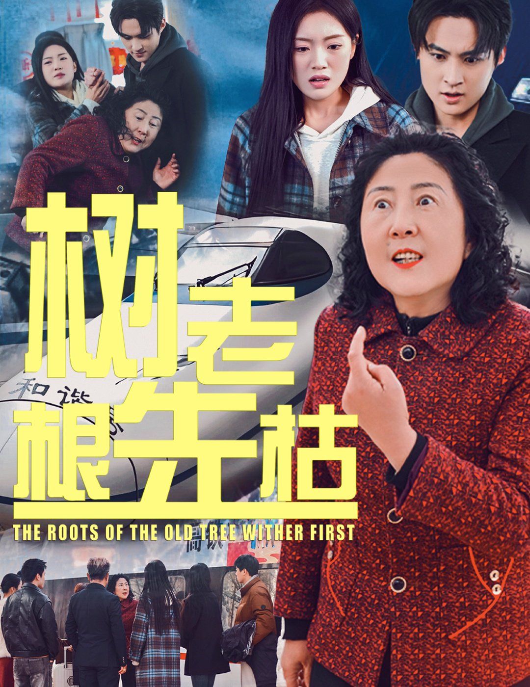 《树老根先枯》海报