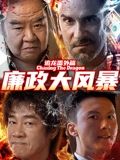 《追龙番外篇之廉政大风暴》海报