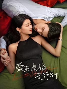 《爱在离婚进行时》海报