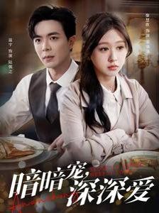 《暗暗宠深深爱》海报