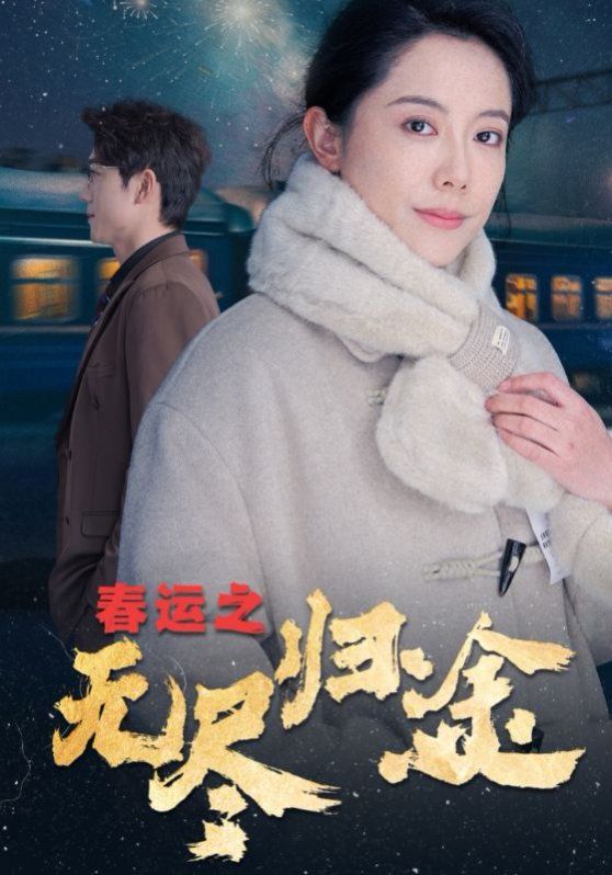 《春运之无尽归途》海报