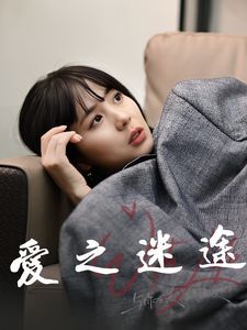 《爱之迷途》海报