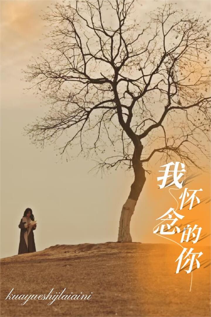 《我怀念的你&amp;跨越时间来爱你》海报