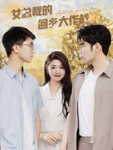 《女总裁的回乡大作战》海报