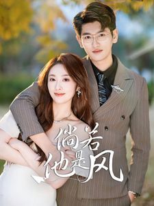 《倘若他是风》海报