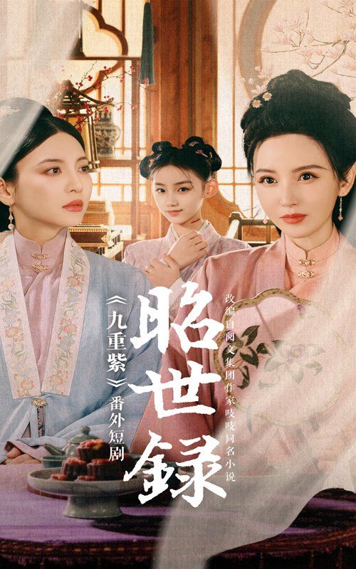 《昭世录》海报