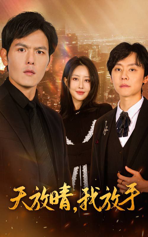 《天放晴我放手》海报