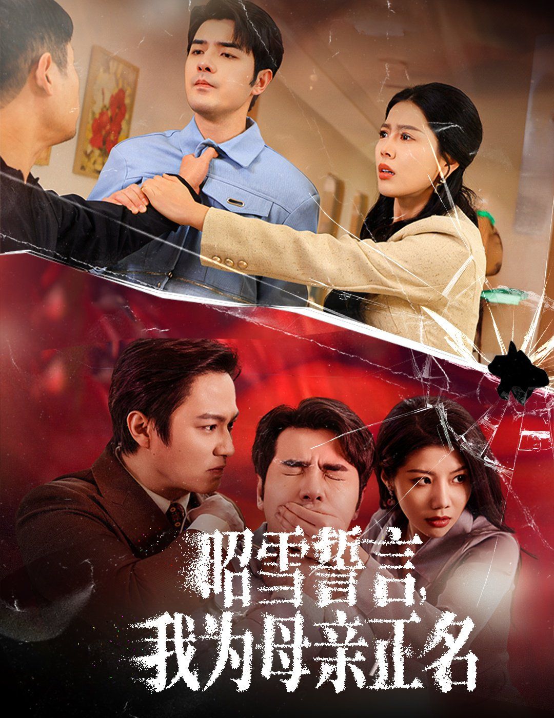 《昭雪誓言我为母亲正名》海报