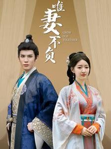 《唯妻不负》海报