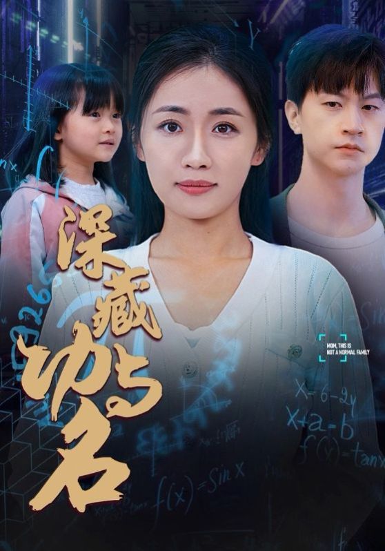 《深藏功与名》海报
