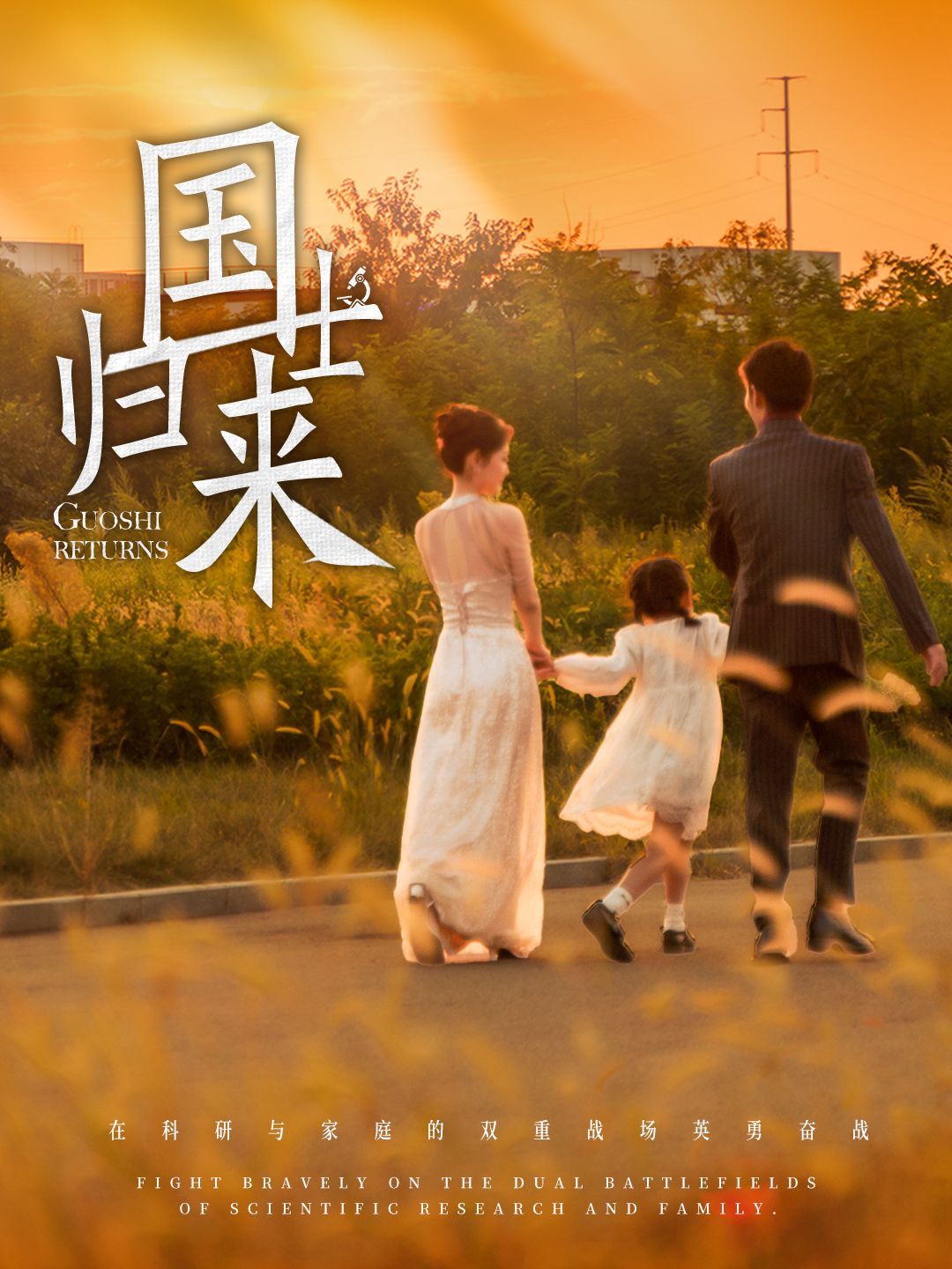 《国士归来》海报