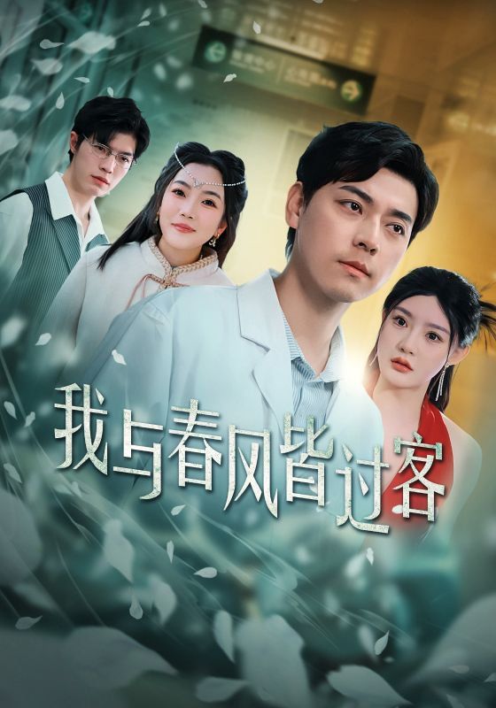 《我与春风皆过客》海报