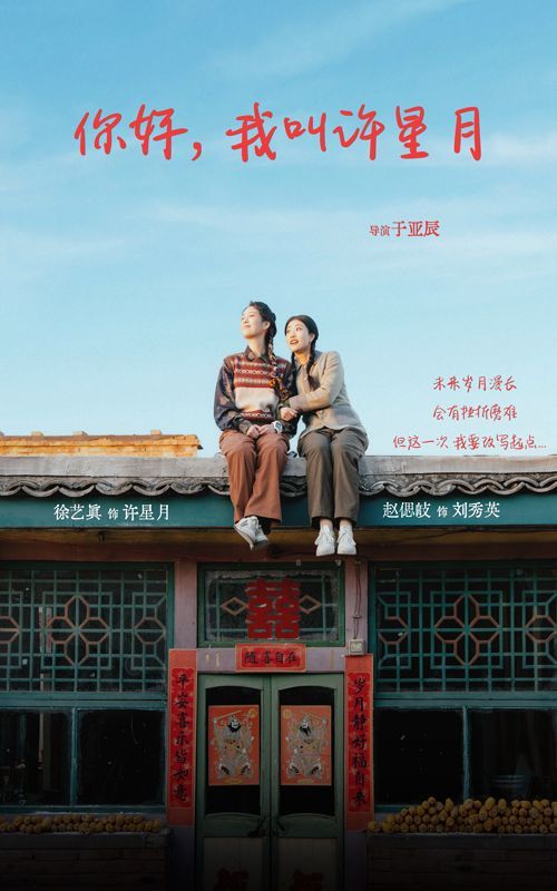《你好我叫许星月》海报