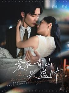 《爱在青山兴盛时》海报