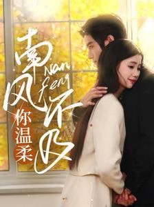 《南风不及你温柔》海报