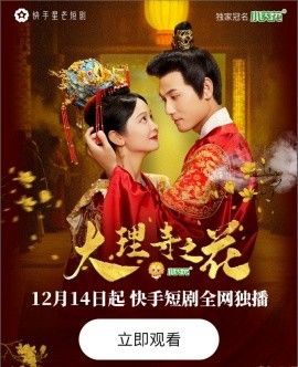 《大理寺之花》海报