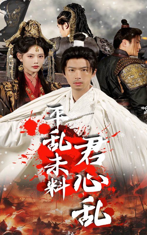 《平乱未料君心乱》海报