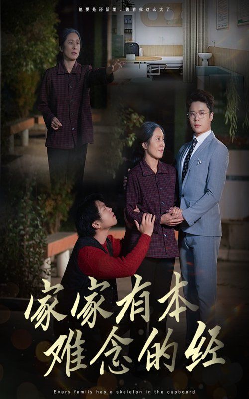 《家家有本难念的经》海报