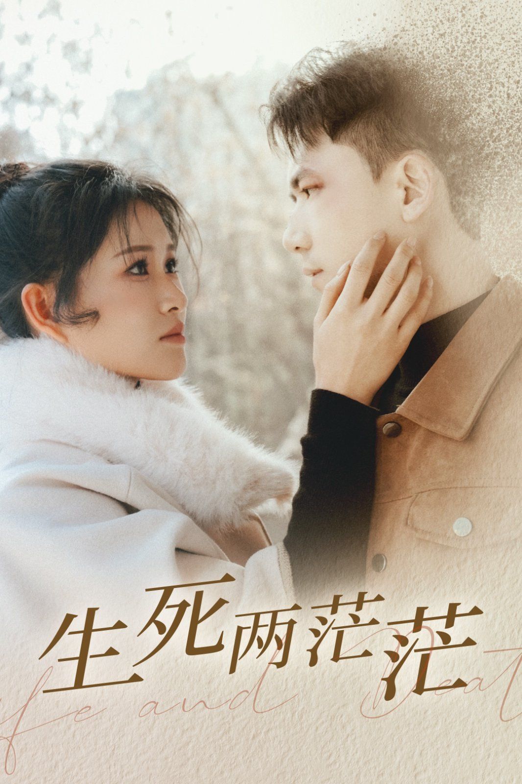 《生死两茫茫》海报