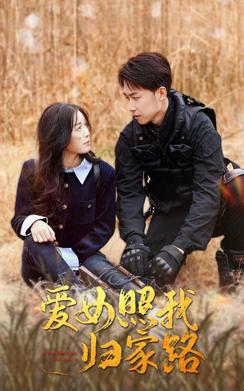 《爱女照我归家路》海报
