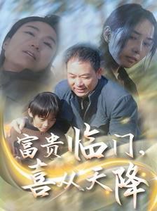 《富贵临门喜从天降》海报