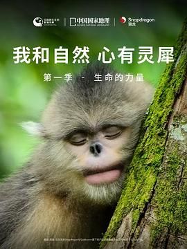 《《我和自然 心有灵犀》第一季 - 生命的力量》海报