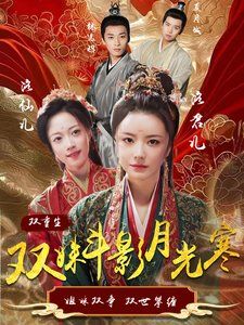 《双姝斗影月光寒》海报