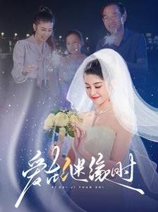 《爱在继缘时》海报