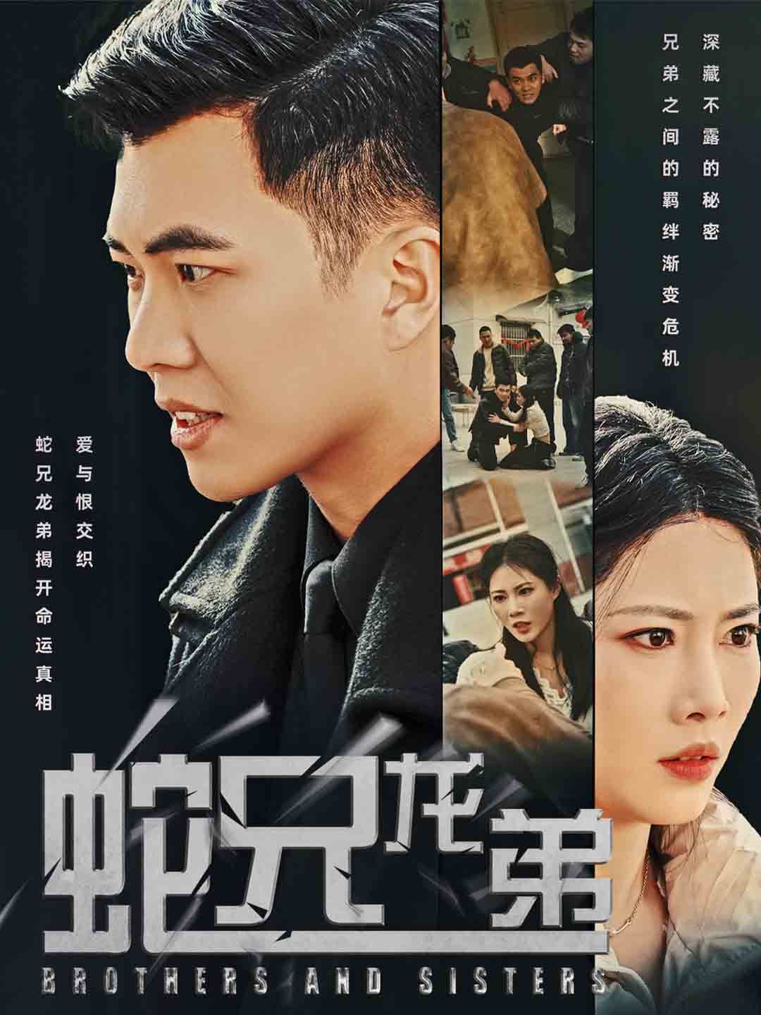 《蛇兄龙弟》海报