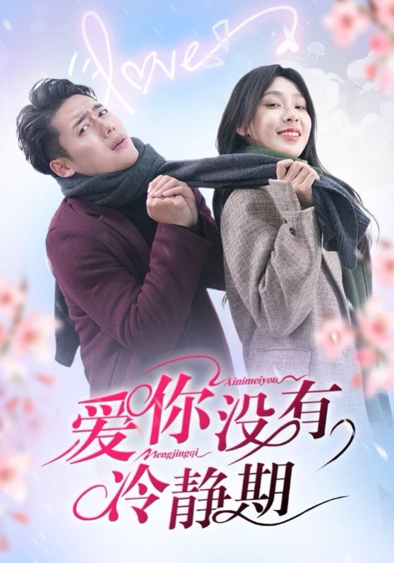 《爱你没有冷静期》海报