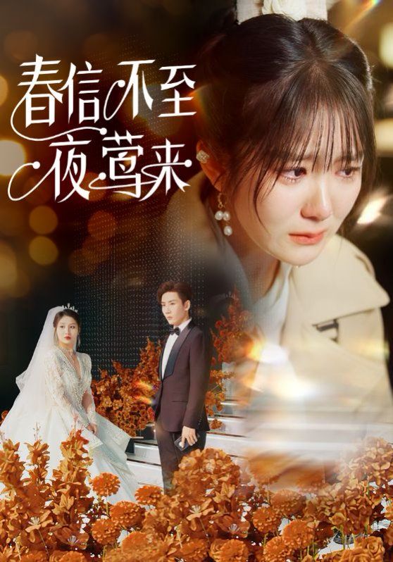 《春信不至夜莺来》海报