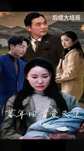 《暮年回首爱又生》海报